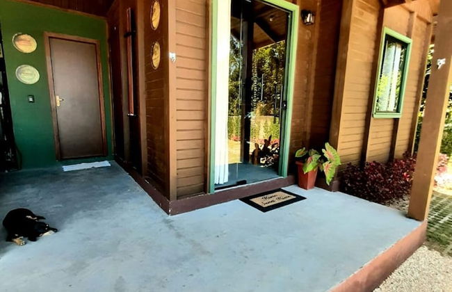 Casa Green Piccoli - Photo 33