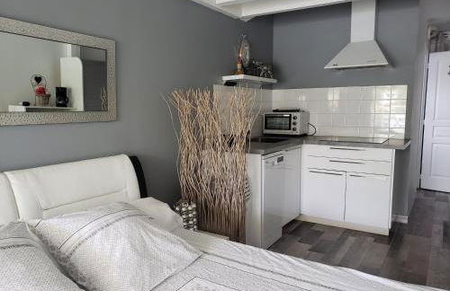 Studio Zure Ondoan - SPA et piscine chauffée - Foto 18