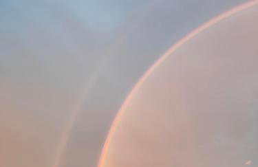 W Szczerym Polu - Foto 31