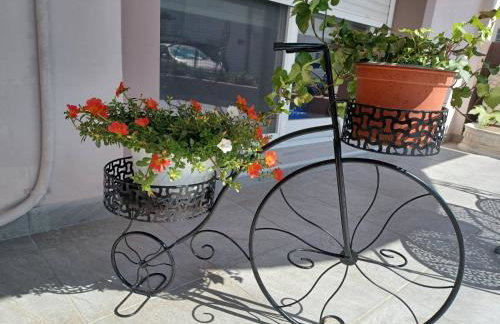 Comfort House Mimosa 2 - Photo 43