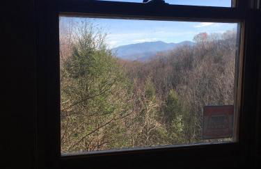 Bears Among Us - Foto 25