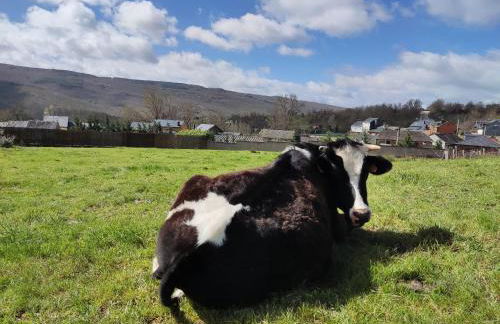 La Gándara Casa Rural - Foto 38
