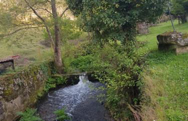 EL VIEJO MOLINO - Foto 40