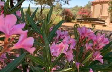 LES SANTOLINES - Studio Retro - Foto 15