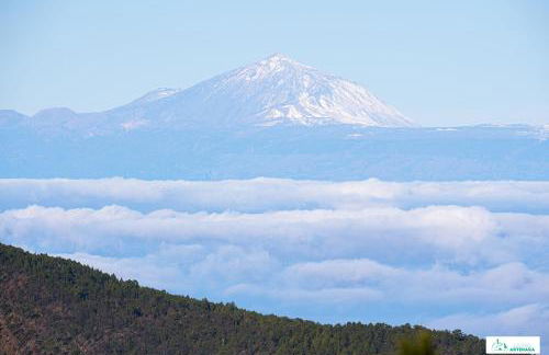 Living Artenara - NATURE Adults Only - Foto 47