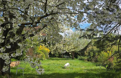 Exklusive Ferienwohnung Bad Salzschlirf - direkt am Waldrand - großer Garten kompett umzäunt - Hunde willkommen - 2 private Stellplätze - Foto 37