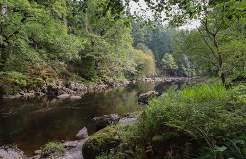 Bryn Cemlyn - Foto 43