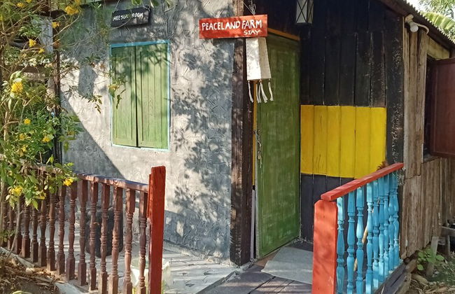 peaceland farmstay - Photo 52