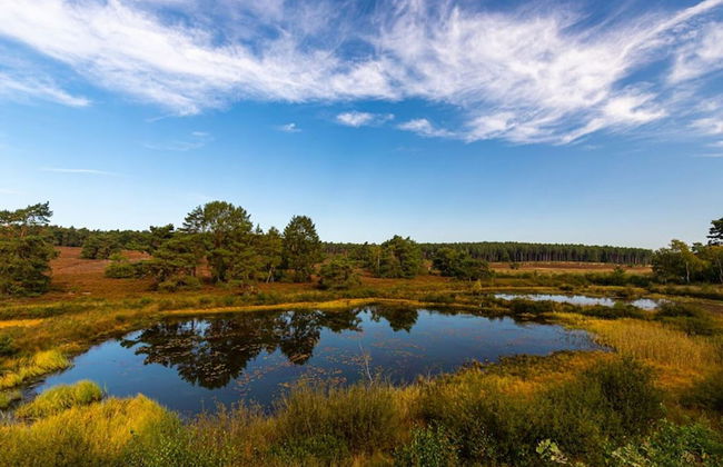 Chalet With air Conditioning on a Holiday Park - Foto 21