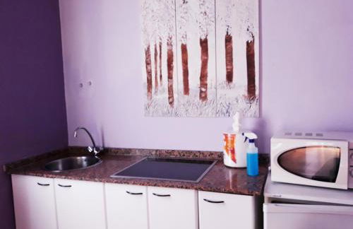 Apartahotel portal de leon - Photo 42