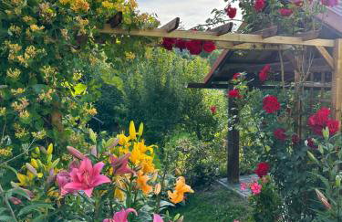 Mr. Sowa Sokolec - Foto 37