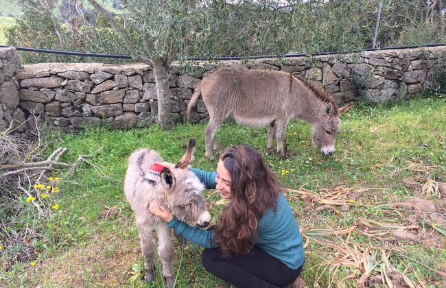 Agriturismo Lu Branu - Photo 34