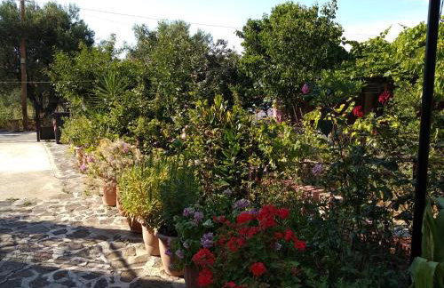 Summer Dream - Foto 5