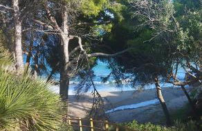 ILDA MENTa - Foto 15