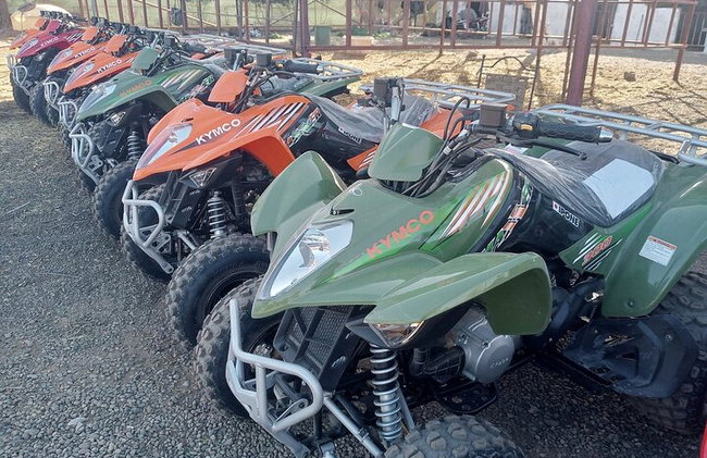 "Jardín Majorelle y Palmeraie en quad: aventura en Marrakech" - Foto 9