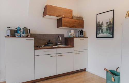 MAINTERRASSE Boardinghouse am Fluss klimatisierte Apartments mit 80qm Terrasse - Foto 17