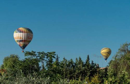 OLE TÚ ANDALUCIA - Foto 61