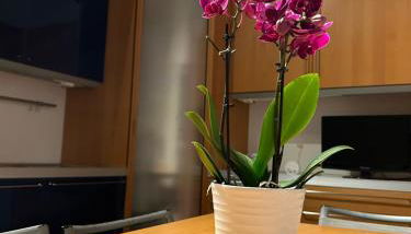 A due passi da - Photo 3