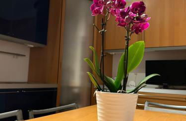 A due passi da - Foto 3