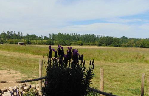 Secret & Secluded Sedlescombe - Foto 17