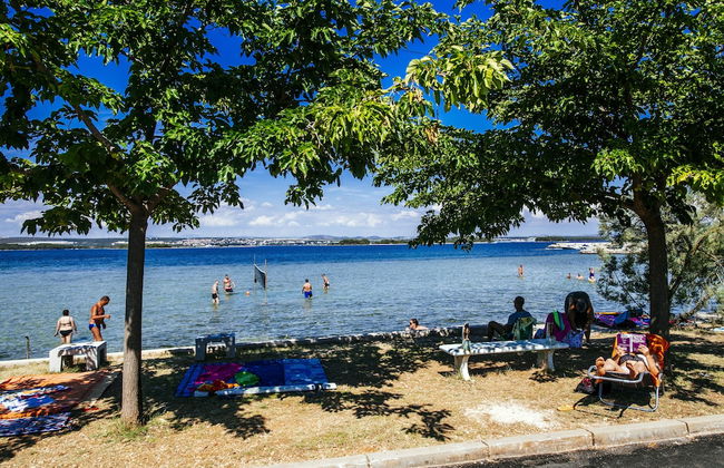 Dalmatian Pearls - Photo 46