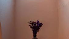 Casa do Outeirinho - Foto 5