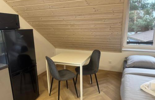 Przystanek Niesiołowice - noclegi na Kaszubach - Foto 4