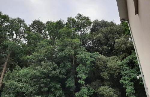 Lisière de la Forêt - Photo 7