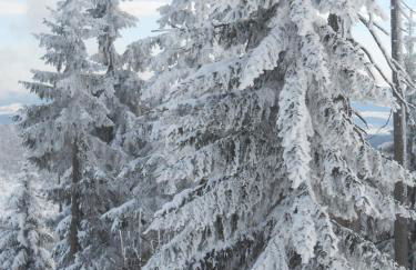 Ferienwohnung Casa MIA - Foto 9