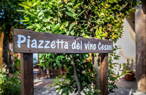 Agriturismo Cesani - Foto 65