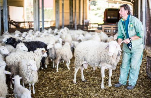 Agriturismo La Valle degli Ulivi - Foto 53