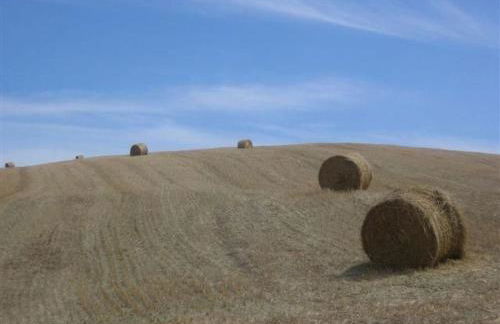 Holiday Home Natur- ökologische Nachhaltigkeit- nur für Erwachsene- Meer in der Nähe by Interhome - Foto 40