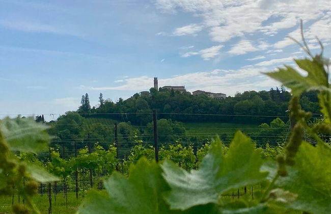 Premium Private Prosecco Hills Tour - 2 Cantine. Tour privato. - Foto 15