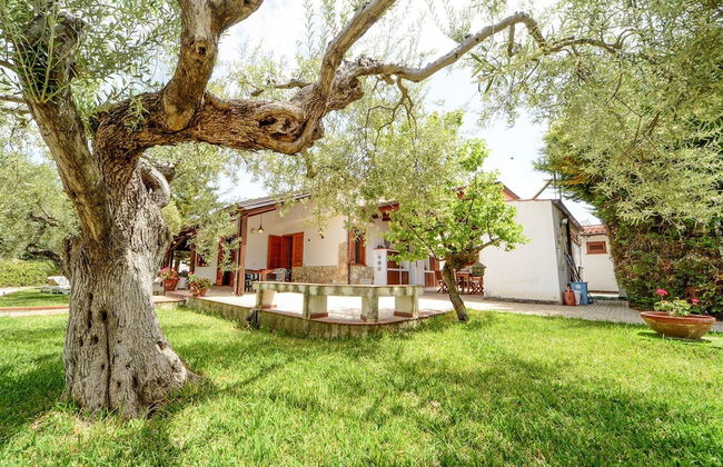 Villa Le Magnolie - Foto 27