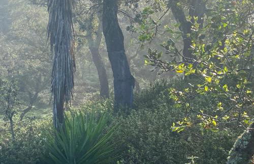 Três Figos - Foto 80