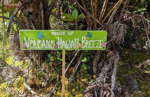 Local Living in Volcano Hawaii Breeze&5 mins to Volcano National Park - Foto 6