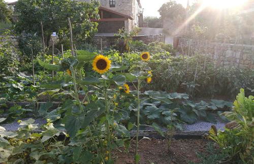 Las Azadas - Foto 37