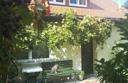 Ferienhaus Puttrich - Foto 2