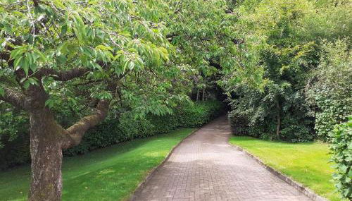 Torrent Cottage - Foto 3