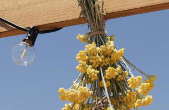 Apartaments la Rambla - Arbequina - 6 persones - Foto 18