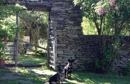 La Pegatera Masia rodeada de bosque ideal para desconectar - Photo 78