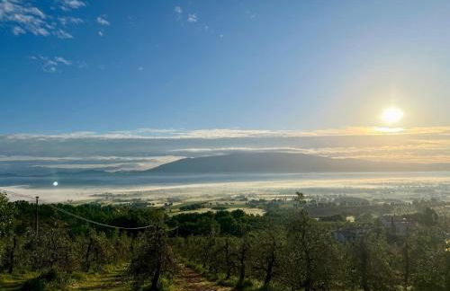 Agriboutique L'Uliveto Magico - Foto 22