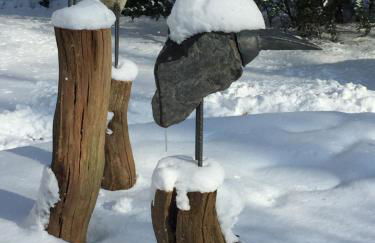 Waldmühle - Foto 49