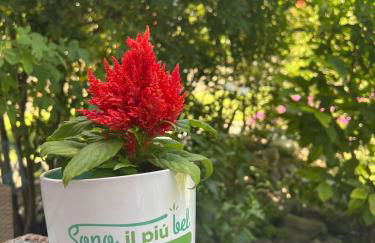 CASA VITTORIA - Foto 30