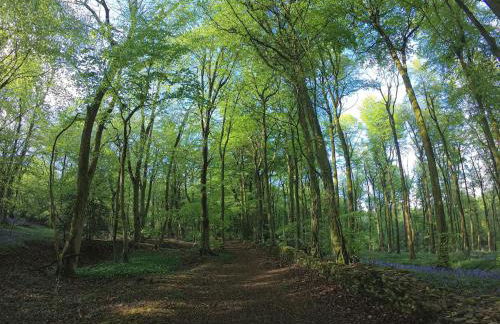 The Organic Cotswolds Cowshed - Photo 31