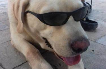 Casa di Fiocco - Foto 14