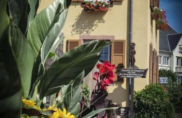 Le p'tit coin de chez nous - Foto 18