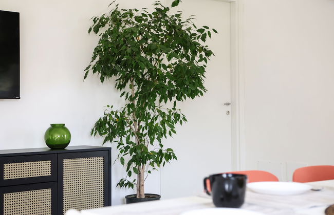 Tenuta Don Alfonso - Photo 21