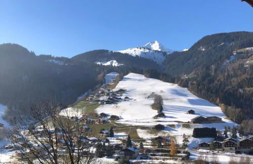Appartement lumineux avec balcon à Arêches Beaufort - Foto 2