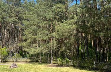 Domek w lesie - Foto 3